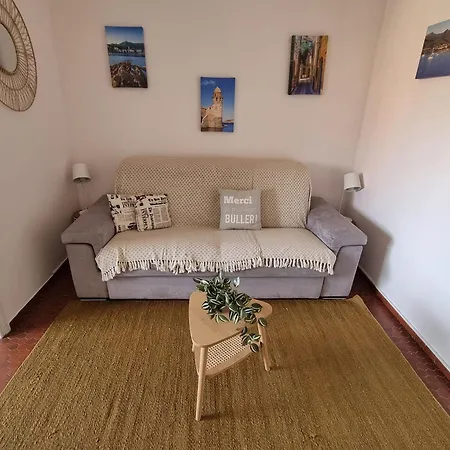 A Avec Terrasse Et Parking Prive - Fr-1-309-463 קוליור