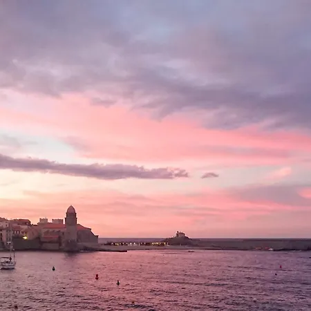 A Avec Terrasse Et Parking Prive - Fr-1-309-463 Apartment Collioure