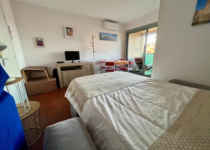 A Avec Terrasse Et Parking Prive - Fr-1-309-463 * Collioure